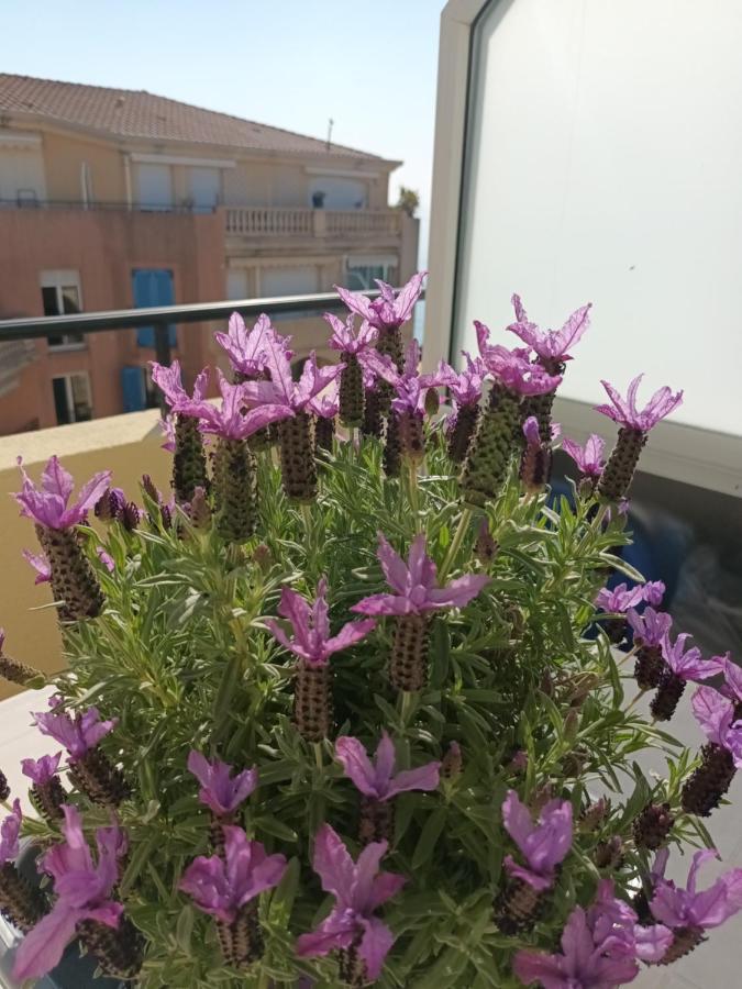 Attico Victoria Palace Suggestivo E Spettacolare Menton Dış mekan fotoğraf